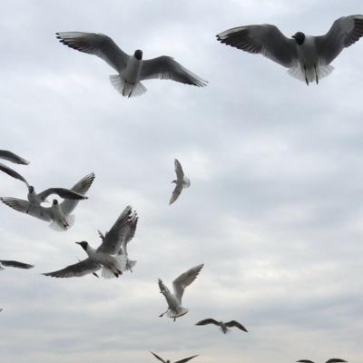 Maha_Abdulaziz_'s profile picture. يارب العفو والعافيه