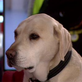 KaminskiSpencer's profile picture. reasonable theist

lenape land