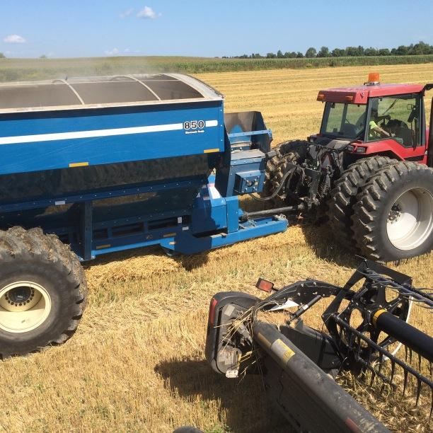 Charlottengro Farms Inc.  Cash crop and cattle farmer in Glengarry County