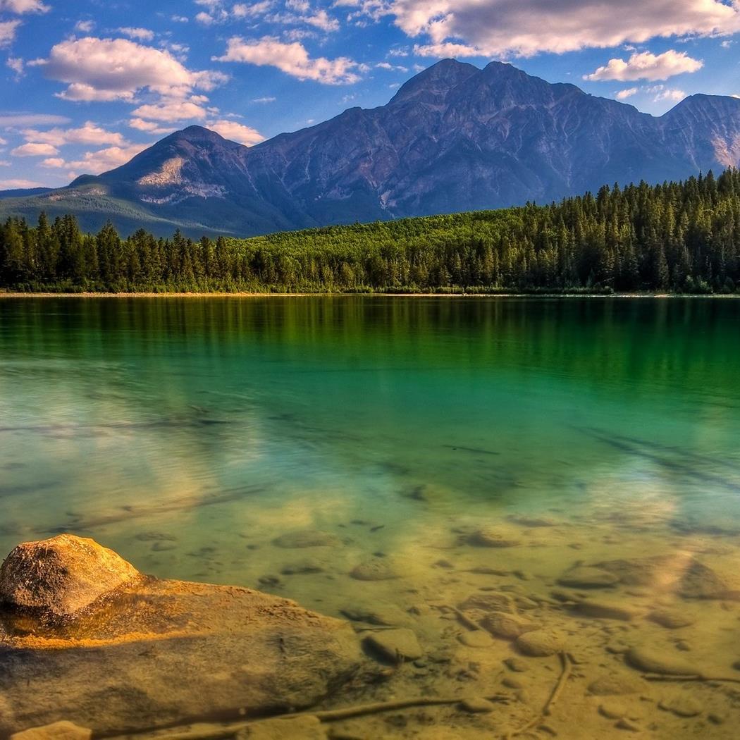 SomonaukPadlPro's profile picture. 