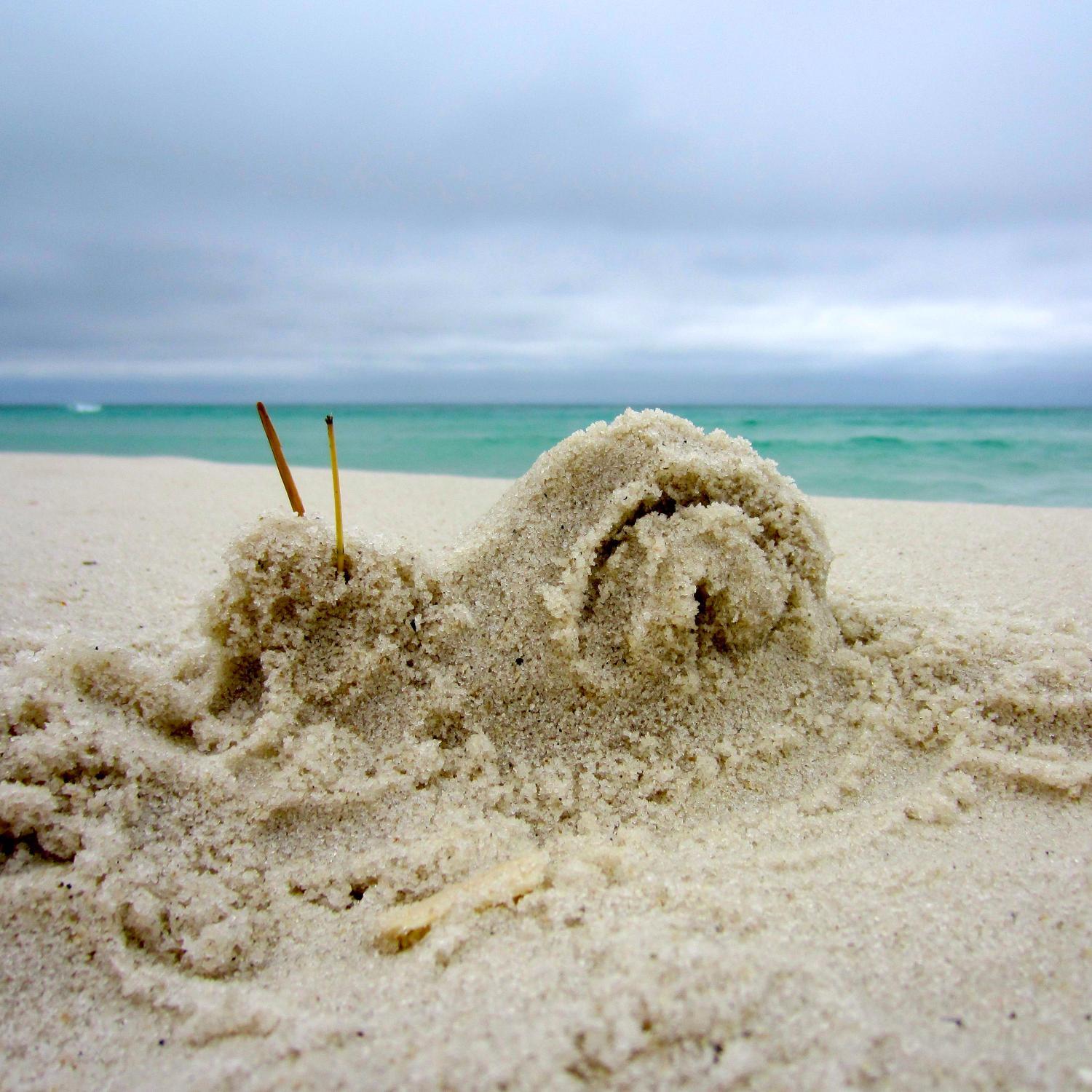 zack_pierson's profile picture. 