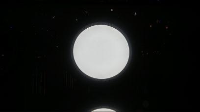 17100374c9584f8's profile picture. 