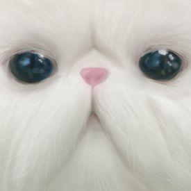 みる※成人済み20↑♀。娘2人(👧🏻2y+👶🏻1y)います。 HQ→🐈⬛1番推し/hrak→💥・👀推し/艦これ/単冠湾/嫁艦→榛名/ルセラ/APH/元Hr吹き/他はツイプロへ//RT魔// 放置垢⇒@ramumiru0130 アイコン→@Lyze_94 より