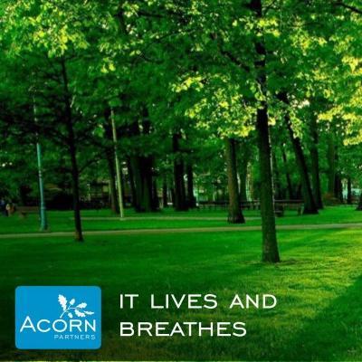 Thanks for visiting the  http://t.co/n0srEJz13N Acorn partners Business capital Investments. We are seeking superior green boutique investments return re