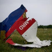 JIT MH17 (@jitmh17) 's Twitter Profile