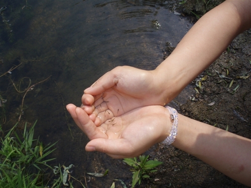 jjyylml's profile picture. 