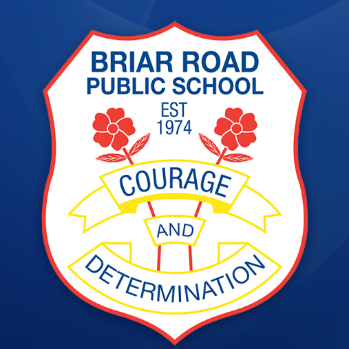 Briar Road P.S Profile