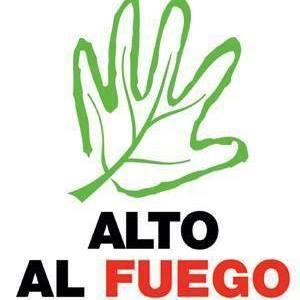 AltoAlFuegoYa's profile picture. 