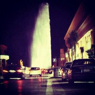 F050505f's profile picture. 