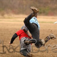 Cullen Geppert (@cgeppert) 's Twitter Profile