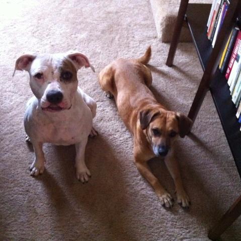 SDMichelleW's profile picture. Digital Content Manager: KFMB Stations San Diego | Proud Godmother | LGBT | Opinions are my own