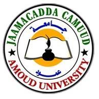 Amoud University