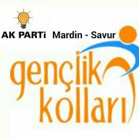AK GENÇLİK SAVUR (@akgencliksavur) 's Twitter Profile Photo AK GENÇLİK SAVUR (@akgencliksavur) 's Twitter Profile Photo