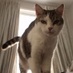 Philip Storry (@philipstorry) Twitter profile photo Philip Storry (@philipstorry) Twitter profile photo