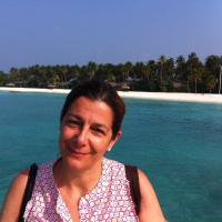 Teresa Lupo (@lupomteresa) 's Twitter Profile