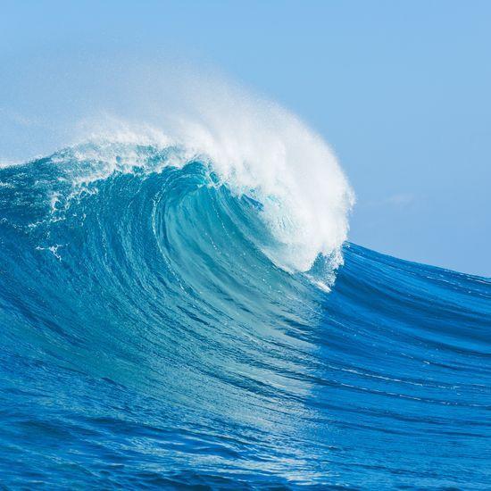 info@surfsearch.org We are recruiters that specialize in placing professionals in the biotech, pharmaceutical, medical device and consumer product industries.