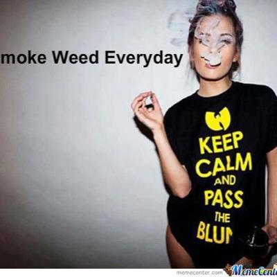 gonza8831's profile picture. 