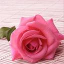 كلى وفى (@0546329316) Twitter