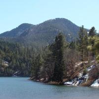 RenegadeRulz (@renegaderulz) 's Twitter Profile