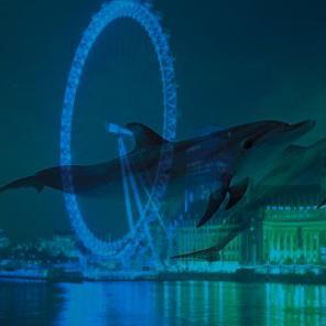 amscotland12's profile picture. 