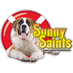 SunnySaintsRescue (@sunny_saints) Twitter profile photo SunnySaintsRescue (@sunny_saints) Twitter profile photo