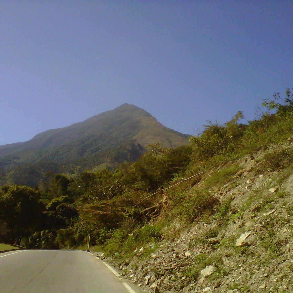 ArmasRosalinda's profile picture. 