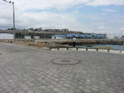 veterinariadelN's profile picture. 