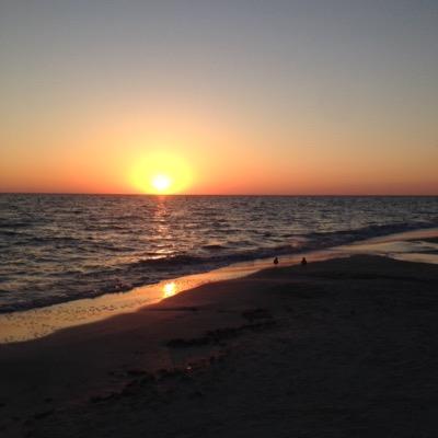 tradams4's profile picture. 