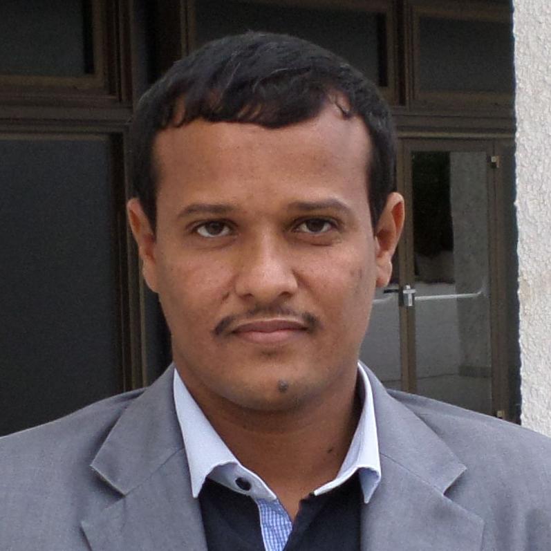Member of Malian Council of Transition (CNT) parliamentary ; chargé de communication de la CPA مسؤول الإعلام للائتلاف الشعبي SPOKERSMAN of CPA ;