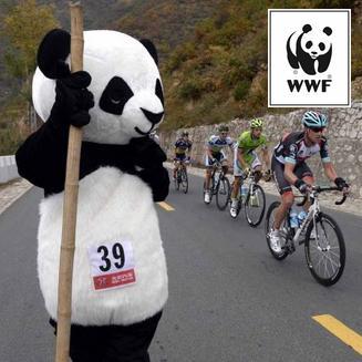 Celebrating @WWF's work in conservation and sustainability through cycling. #pandapower tweets mostly by @ade_wwf.