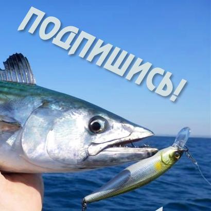 Блоги рыбаков Крыма и Севастополя, рыбалка в Крыму и на юге России