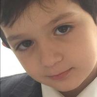 The Reader (@lb30mh) Twitter profile photo