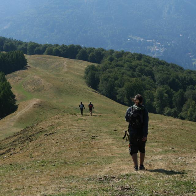 EscuMihai's profile picture. 