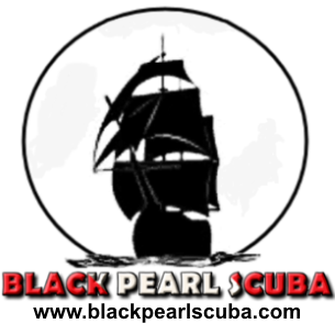 Black Pearl Scuba