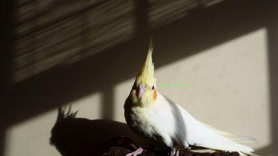 leah_bramson's profile picture. Social media, copywriting.