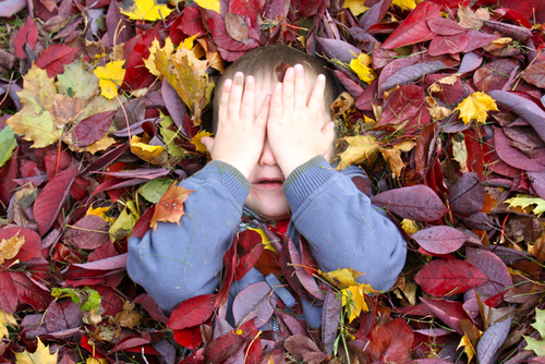 aidenmm's profile picture. follow @aidenmm for updates on funny things Aiden says