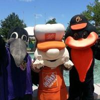 Home Depot 2502 (@2502depot) 's Twitter Profile