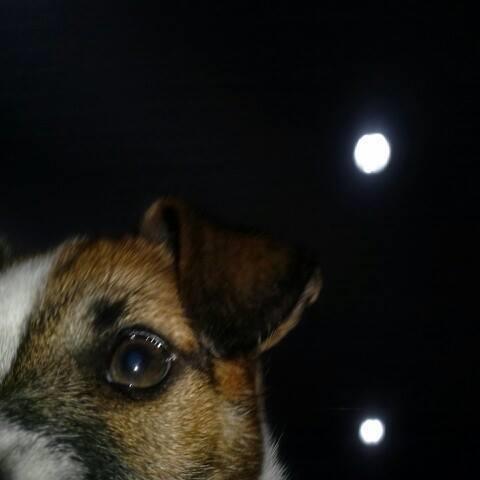 PaginaDoZero's profile picture. 