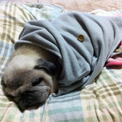 mtos4's profile picture. 