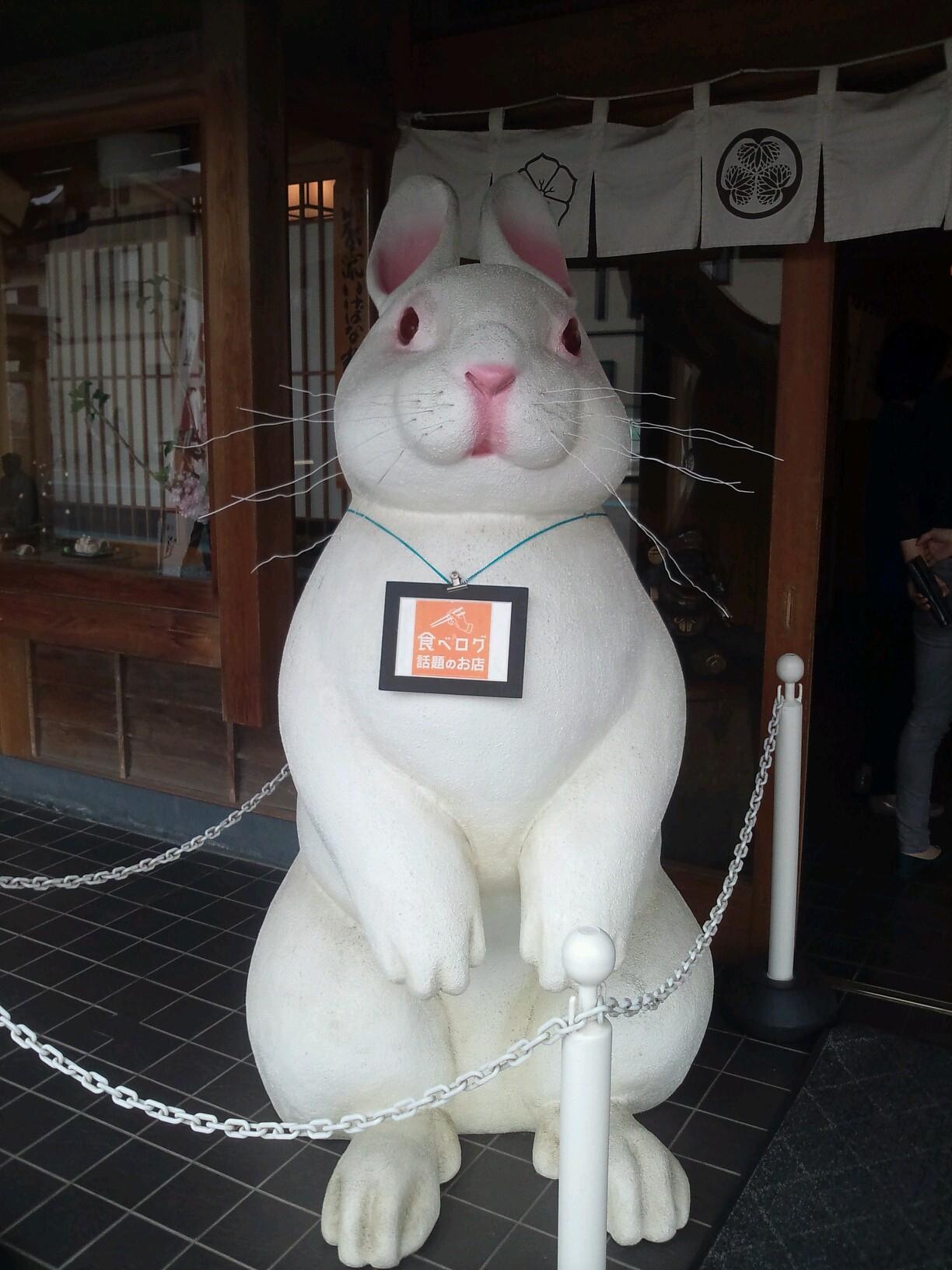 tocp65547's profile picture. 