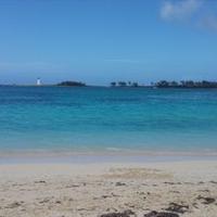 Erica Gaede (@ericagaede) 's Twitter Profile