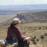 Michelle Shiers (@sedishiers) 's Twitter Profile