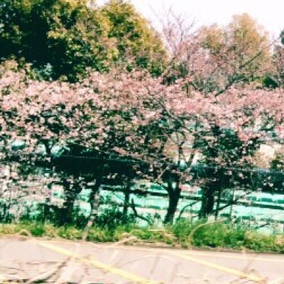 星奈はあかいどうさんのプロフィール画像