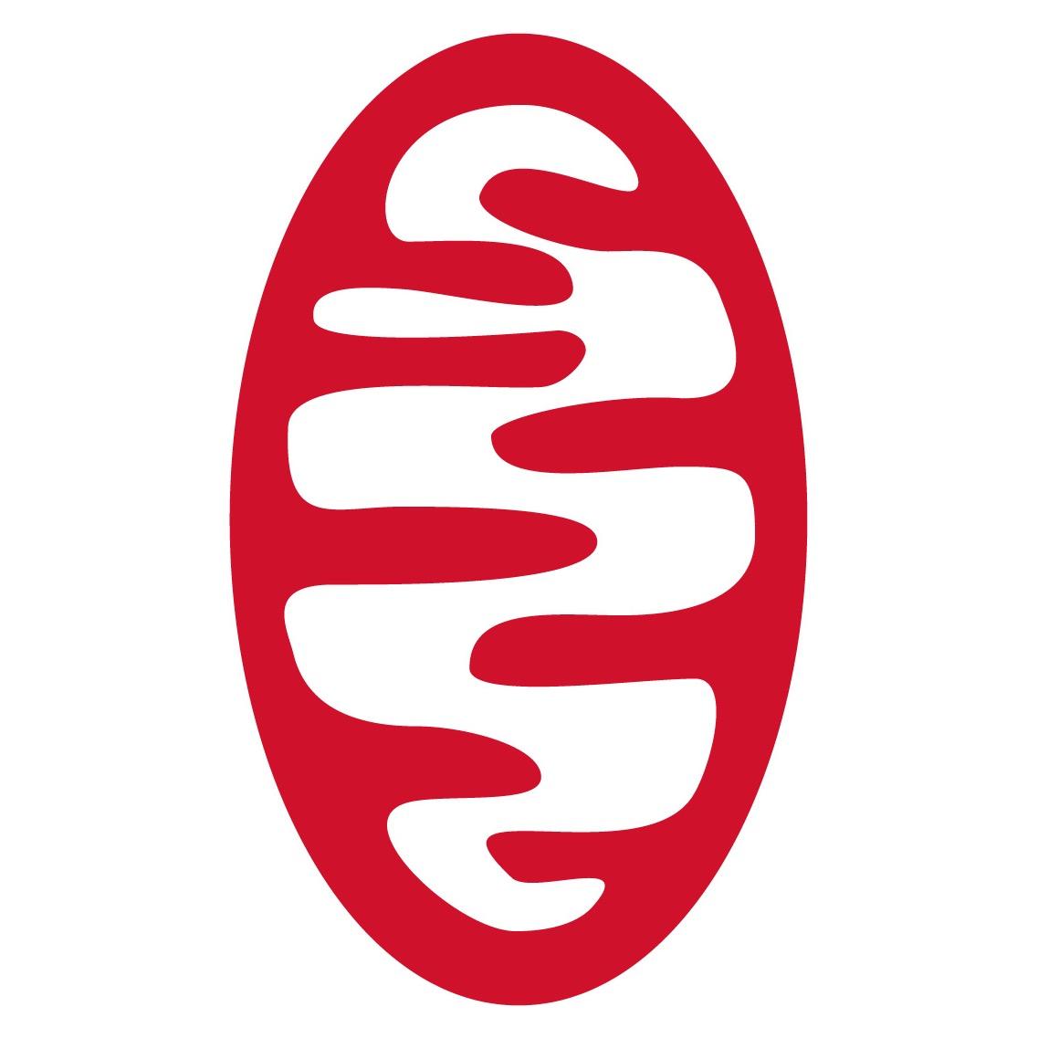 Mitochondrial systems biochemistry