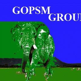 GOPSMGROUP