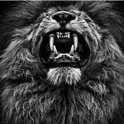 Entrepreneur, Motivational Speaker, Mentor and Distinguished Member of Alpha Phi Alpha Fraternity Incorporated