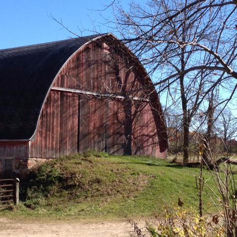 MOSA Certified Organic Produce, Herbs, and Flowers in Wisconsin. Family owned farm on our 160+ year old homestead.