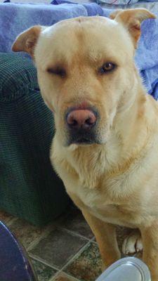 cl_ritchie's profile picture. wifey,mother of 2