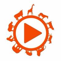 Live Wildlife Cams (@spowildlifecams) 's Twitter Profile Photo Live Wildlife Cams (@spowildlifecams) 's Twitter Profile Photo