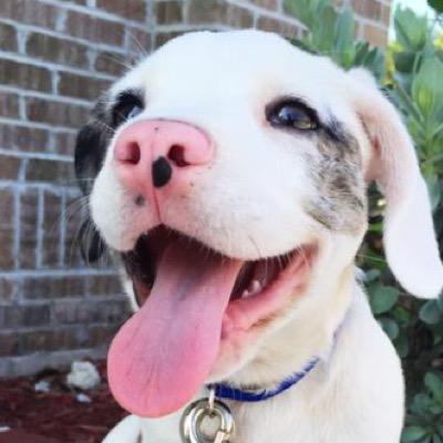 MIkeytrillt's profile picture. Cowabunga fuckboy